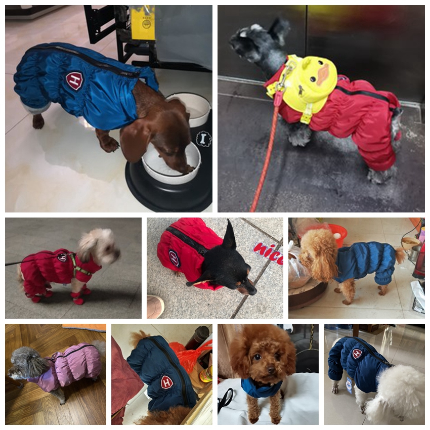 ซิปหิมะ Unisex สุนัขกันน้ํา Ov - Baby Clothing Winter บทวิจารณ์และราคา